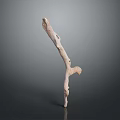 Natural Decorative Wooden Branch Sculpture With Curved Shape Texture On Gray Background