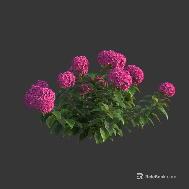 Beautiful Pink Hydrangea Flowers with Lush Green Leaves in Vibrant Clusters 3d model 
