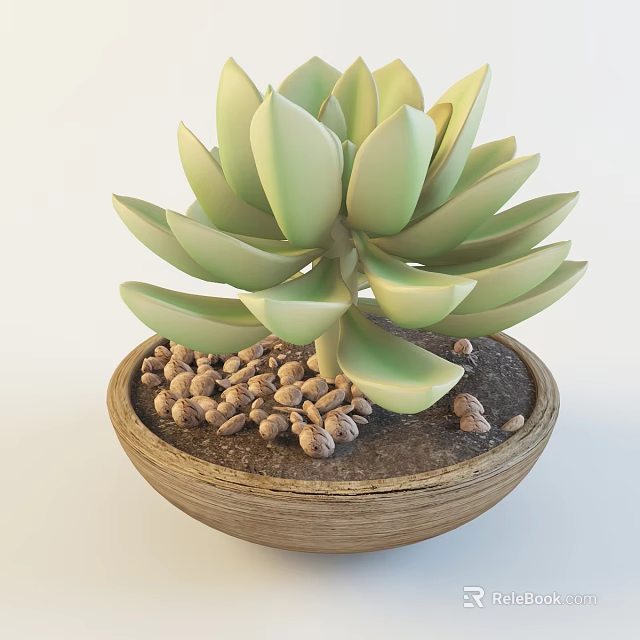 Green Leaf Succulent Bonsai Potted Plant in Wooden Pot with Small Pebbles 3d model 