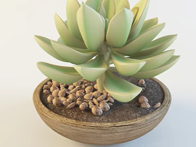 Green Leaf Succulent Bonsai Potted Plant in Wooden Pot with Small Pebbles 3d model
