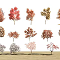 Colorful Arbor Tree Varieties With Diverse Leaf Colors For Landscape Design 3d model