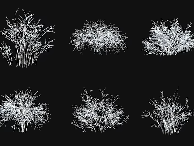 Different Types of White Plant Silhouettes on Black Background with Various Bush Shapes 3d model