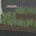 Elegant Green Plants in Tiered Wooden Planters for Modern Interior Decor