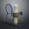 Professional Golden Microphone Setup With Pop Filter Shock Mount And Stand 3d model