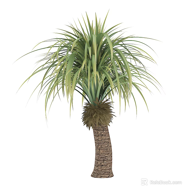 Lush Palm Tree With Long Green Leaves And Textured Trunk 3d model 