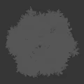 Lush Green Shrub With Dense Foliage And Vibrant Leaves In Round Shape