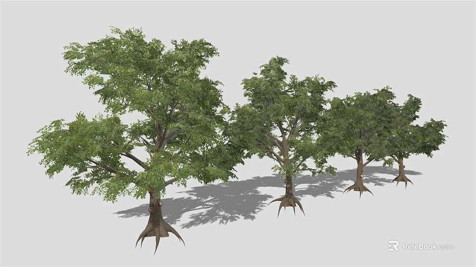 Multiple Lush Green Trees With Aerial Roots Against Gray Background 3d model 