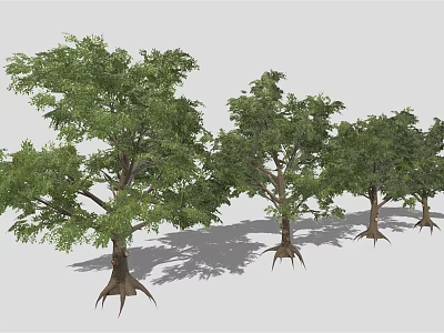Multiple Lush Green Trees With Aerial Roots Against Gray Background 3d model