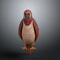 Standing Red and Beige Stuffed Bird with Orange Claws and Feathers