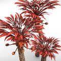Cartoon Style Trees With Red Leaves Twisted Trunks And Small Orange Fruits