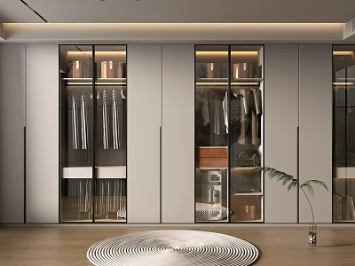 Modern Walk in Closet Interior Design With Glass Door Cabinets Hanging Clothes And Storage Boxes 3d model