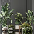 Modern Indoor Potted Plants with Large Green Leaves and White Ceramic Pots on Metal Stands
