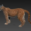 3D Modeled Puma With Brown Fur In Standing Pose On Gray Background