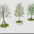 Modern Circular Tree Planters With Wavy Edges Green Grass And Trees
