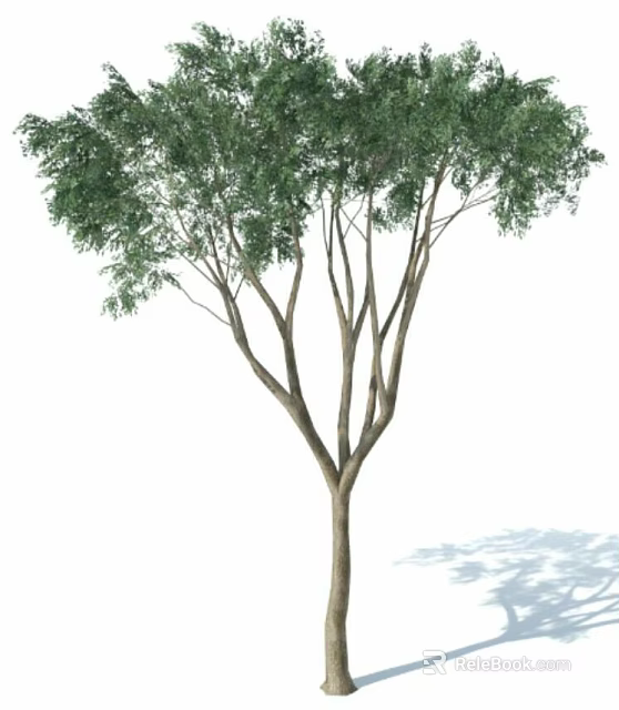 Lush Green Leafy Arbor With Thick Trunk And Spreading Branches In Natural Scene 3d model 