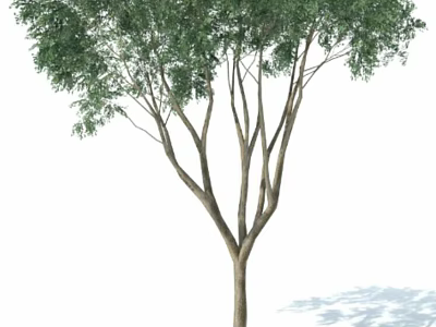 Lush Green Leafy Arbor With Thick Trunk And Spreading Branches In Natural Scene 3d model