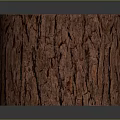 Natural Wooden Stump Decorative Piece With Tree Ring Texture And Rough Surface 3d model