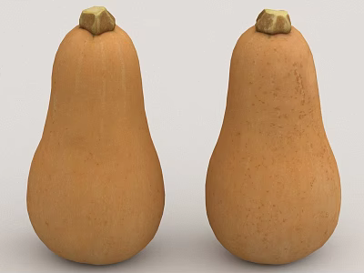 Two Fresh Ripe Butternut Squash With Smooth Orange Skin And Stems 3d model