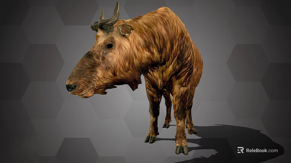 Standing Takin With Brown Fur And Curved Horns On Grey Hexagonal Background 3d model 