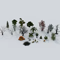 Diverse Arbor Tree Types Including Conifers Broadleaves Palms And Bare Trees 3d model