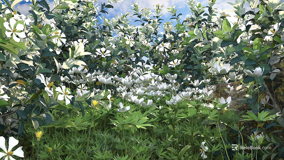 White Flowering Shrubs With Green Foliage Thriving In Lush Green Grass Area 3d model 