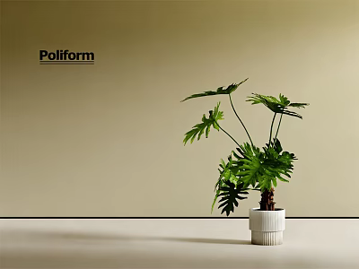 Potted Plant with Green Lush Leaves in White Ceramic Pot against Beige Wall by Poliform 3d model