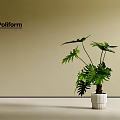 Potted Plant with Green Lush Leaves in White Ceramic Pot against Beige Wall by Poliform