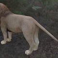 Majestic Lion Standing On Grassy Field With Lush Green Tree Background