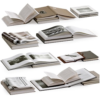 Books Collection 3d model