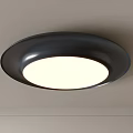 Round Black Frame Ceiling Light With White Illumination And Modern Design 3d model