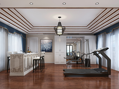 New Chinese Entertainment Room Video Room Gym model