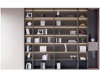 Modern bookcase 3d model