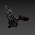 Prehistoric Bird Skeleton Fossil Well Preserved On Ancient Stone Slab