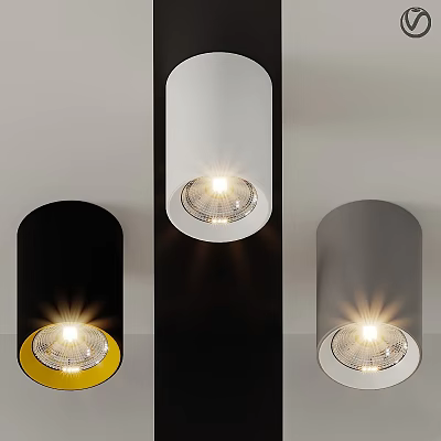 Contemporary Downlights And Spotlights In Black White Gray With LED Lighting 3d model
