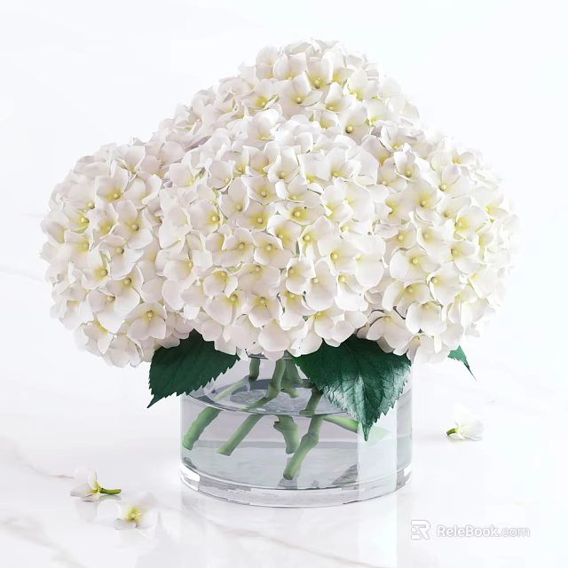 White Hydrangea Flowers in Clear Glass Vase with Water and Green Leaves 3d model 