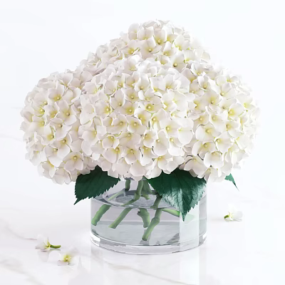 White Hydrangea Flowers in Clear Glass Vase with Water and Green Leaves 3d model