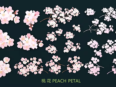 Decorative Pink Peach Petal Wall Decor With Blossom And Branch Designs 3d model