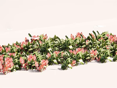 Pink Flowers With Green Leaves In Beautiful Fresh Outdoor Garden Decorative Arrangement 3d model