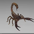 Brown Reptile Scorpion With Large Pincers Curved Tail And Detailed Body View
