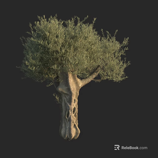 Olive Tree With Unique Textured Trunk And Lush Green Foliage Design 3d model 