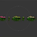 Colorful Flowers Arranged in Curve Shape With Green Leaves and Gray Background