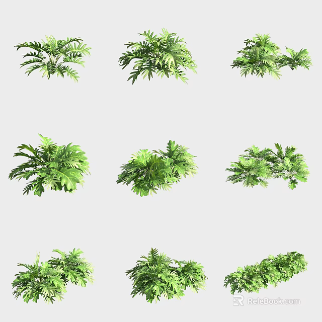 Various Types of Green Plants with Lush Foliage and Different Leaf Shapes 3d model 