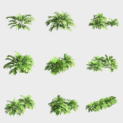 Various Types of Green Plants with Lush Foliage and Different Leaf Shapes 3d model
