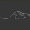 Detailed Small Animal Skeleton With Long Tail On Gray Reflective Surface