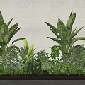 Tall Green Plants With Large Leaves And Low Growing Foliage Arrangement Against Gray Wall