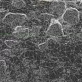 Natural Microtopography With Scattered Stones Pebbles And Earthy Surface Texture