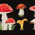 Various Colorful Mushroom Silhouettes Including Red White Spots Brown Yellow And White With Green Grass