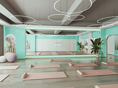 Modern Yoga Studio Interior With Pink Mats Large Mirrors And Plants 3d model