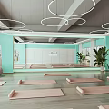Modern Yoga Studio Interior With Pink Mats Large Mirrors And Plants