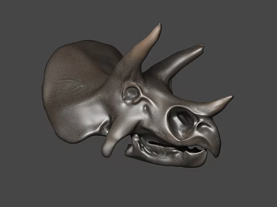 3D Printed Medical Anatomical Model With Detailed Bone Structure For Training 3d model